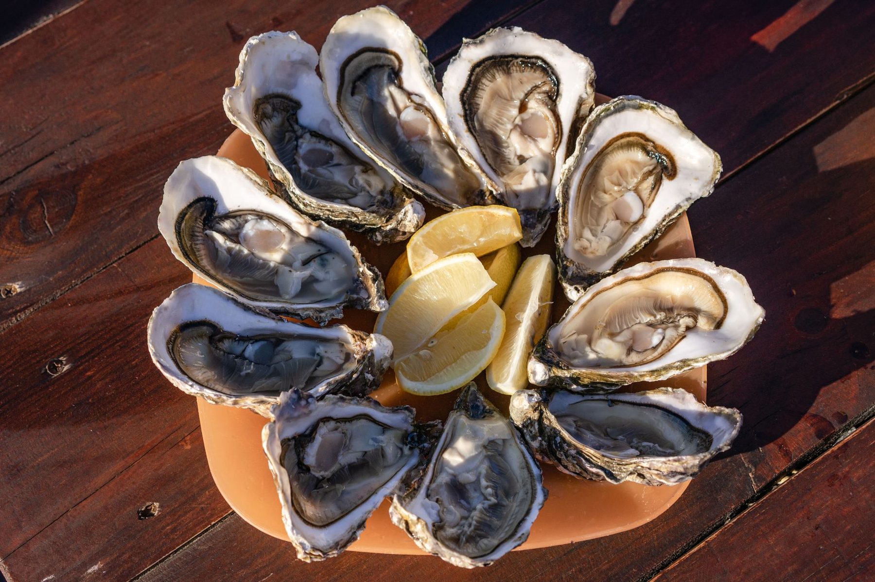 Bourriche d'huîtres ouvertes au citron