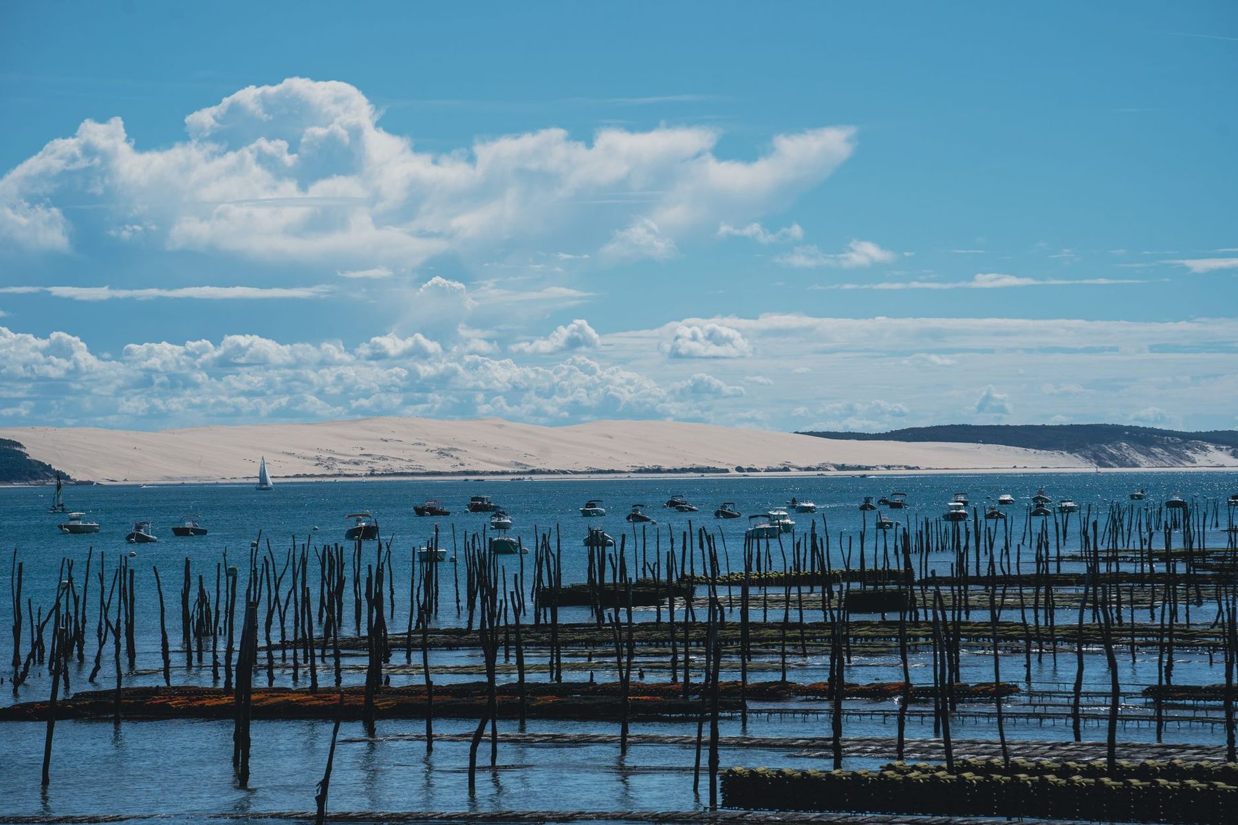Les parcs à huîtres du Bassin, la dune du Pilat à l'horizon