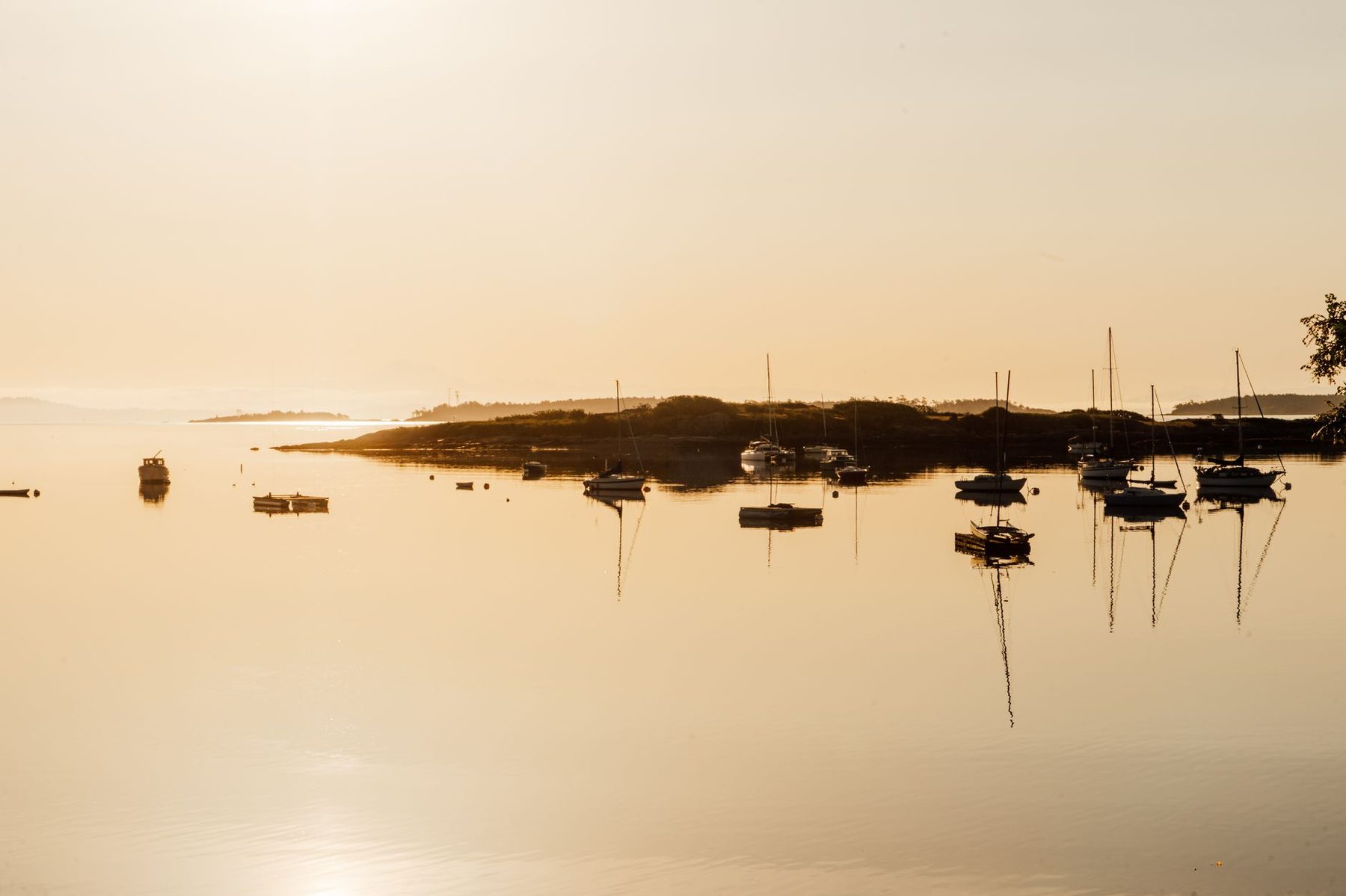 Bateaux au mouillage dans la lumière dorée du soir